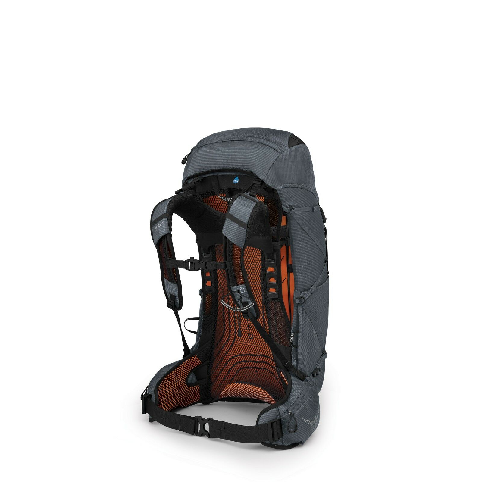 Exos 38 - Image 2