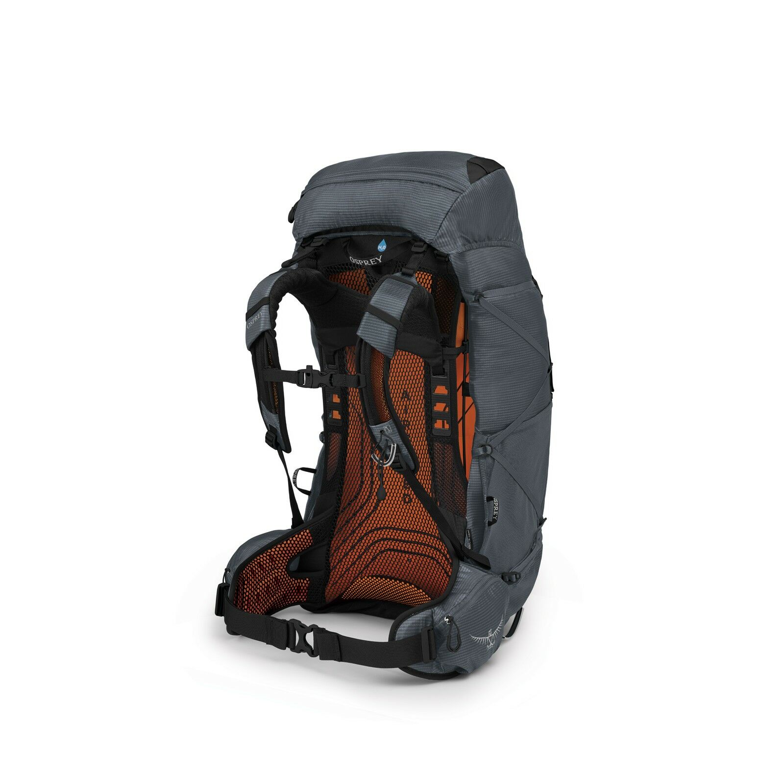Exos 58 - Image 4
