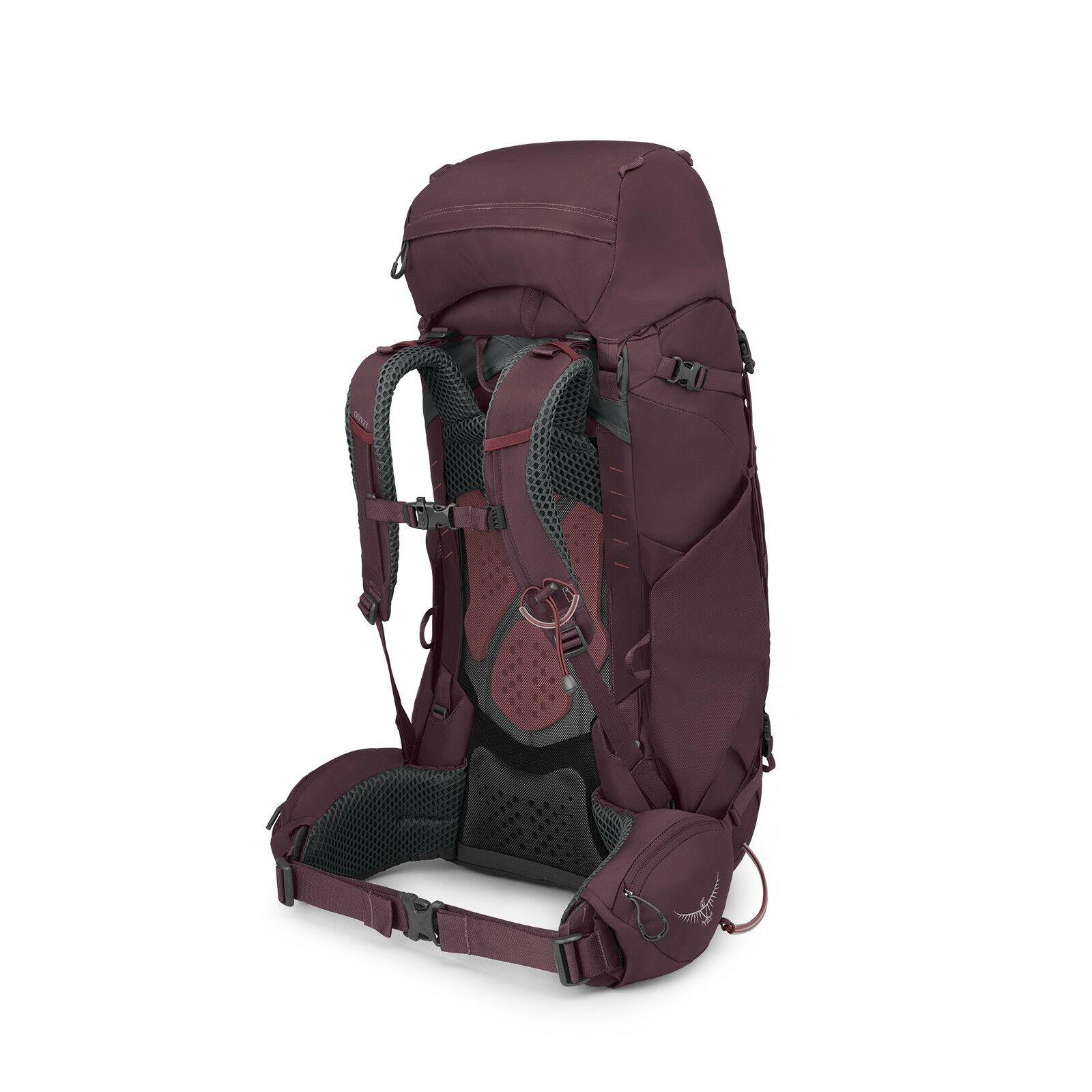 Kyte™ 58 - Image 2