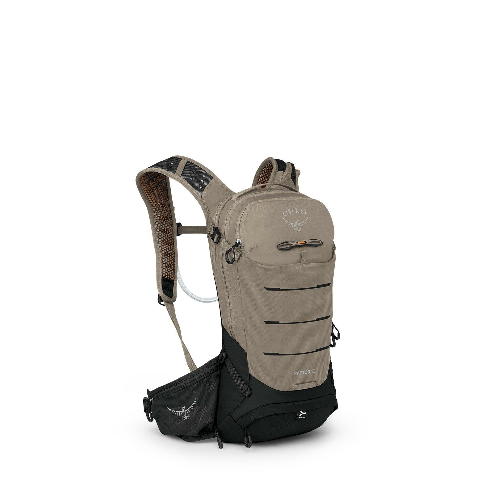 Raptor 10 - Image 2
