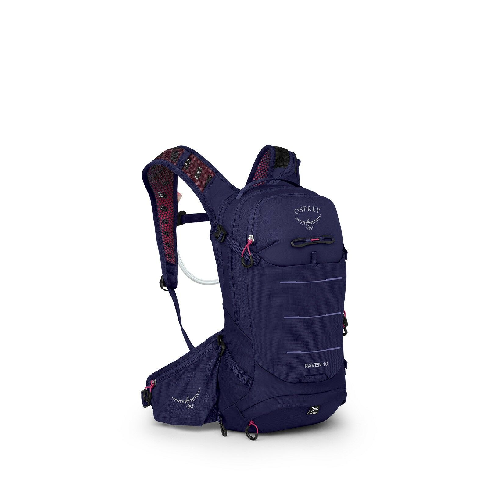 Raven 10 - Image 2