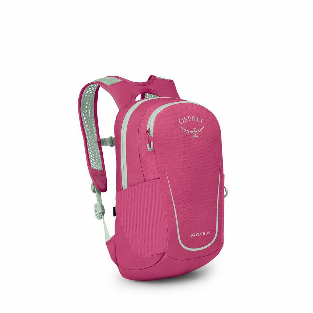 Daylite™ Jr. - Image 12
