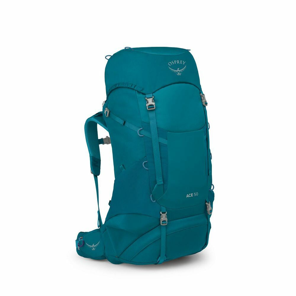 Ace 50 - Image 2